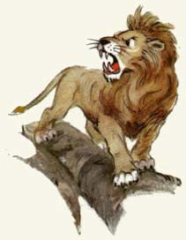 Лев обернулся к тиграм и испустил великолепное рычание… Рис. Л.Владимирского